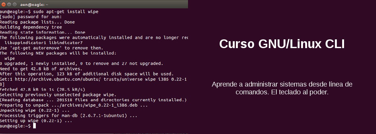 Curso GNU/Linux CLI